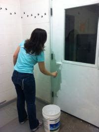 Painting the Castaic Animal Shelter