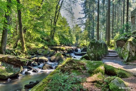 Saußbachklamm Foto & Bild | landschaft, bach, fluss & see, bachläufe ...