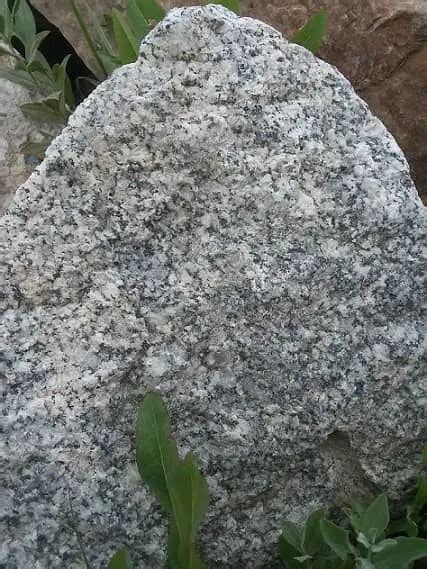 All About Diorite - Uses, Properties, Color, and Worth - Rock and ...