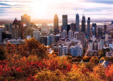 10 Of The Best Things To Do When Visiting Montreal, Canada - WorldAtlas