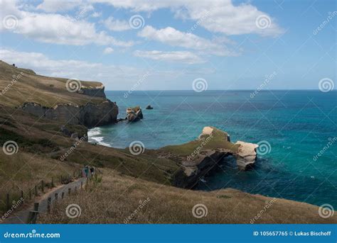 Tunnel Beach Walk Dunedin New Zealand Stock Image - Image of cliff, dunedin: 105657765