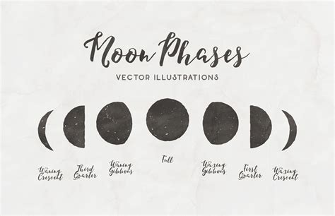 Moon Phases - Free Vector Illustrations | Free vector illustration ...