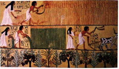 Ancient Egyptian Crops – Facts About Ancient Egyptians