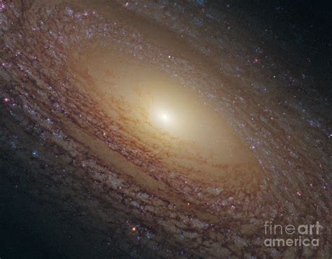 Flocculent Spiral Galaxy Ngc 2841 Photograph by Science Source - Pixels