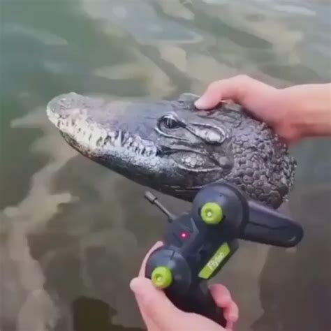 Remote Control Alligator Head Prank - Shut Up And Take My Money | Pranks, Gadgets, Good pranks