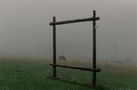 Brown Wooden Frame In The Field · Free Stock Photo