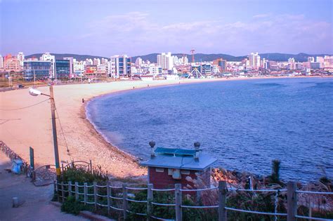 9 Best Things to Do in Ulsan - What is Ulsan Most Famous For? - Go Guides