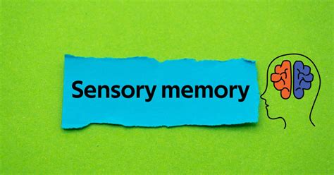 Sensory Memory: Types and What it is? - Apollo Hospitals Blog