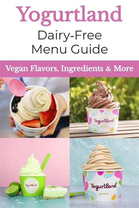 Yogurtland frozen yogurt shops dairy free vegan guide – Artofit