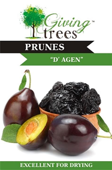 Tuberflora Nursery - Prunes D'Agen'