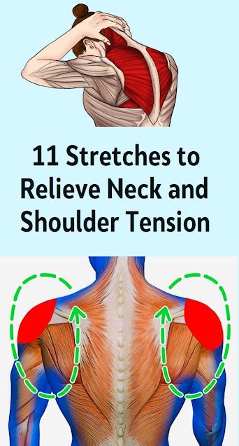 11 Stretches to Relieve Neck and Shoulder Tension - Healthy Lifestyle