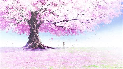 Sealing Master (Naruto Fanfic) | Anime cherry blossom, Anime scenery wallpaper, Anime scenery