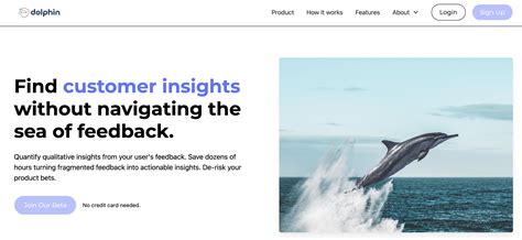 Dolphin.AI - insights from qualitative user feedback.