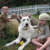 White German Shepherd Breeders | Ravenswood Hollow | 262-642-3841