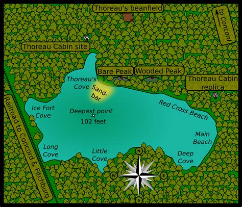 Walden map | Henry david thoreau, Thoreau, Walden pond