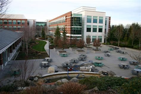 Microsoft Campus Courtyard With Fountain