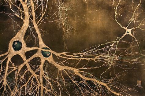 The Beauty of the Brain: Neuroscience Artist Greg Dunn |EWC