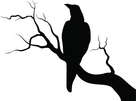 Crow On A Branch Stock Illustration - Download Image Now - iStock