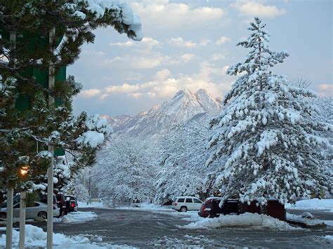 Winter Wonderland in Murray Utah Photograph by Tikvah's Hope - Fine Art America