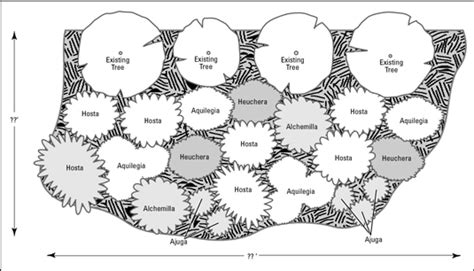 Tips for Designing Perennial Beds and Borders - dummies