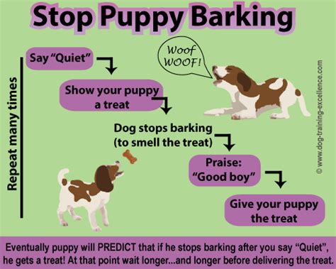 Lovely Dog: how to train your dog to stop barking for no reason