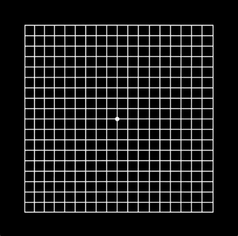 The Amsler Grid Test │ Monitor Your Eyesight │ Liana Engelbrecht Optometrist