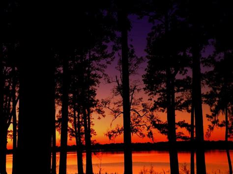 Lake Houston Sunset... the colors in this one! | Sunset, Lake, Outdoor
