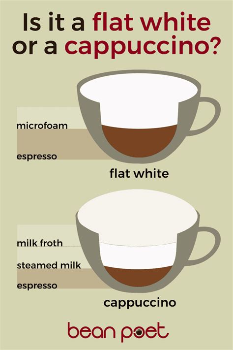 Confused by Flat White and Cappuccino? We Clear It Up