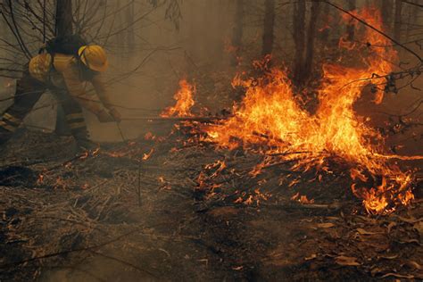 Death toll in Chile forest fires rises to 22