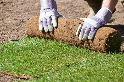 Specialty Sod Grass Blends | Emerald Sod Farms