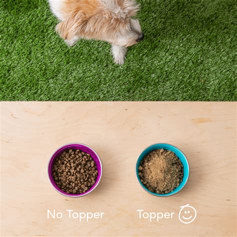 Dog Food Toppers: Healthy Meal Toppers for Dogs & Puppies