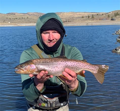 Fish Utah -- Division of Wildlife Resources