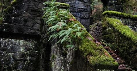 Witches Castle Forest Park Portland Oregon | Places I’d Like to Go | Pinterest | Portland oregon ...