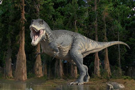 Paleontologist Jack Horner details dinosaur research at West Texas Geological Foundation event ...