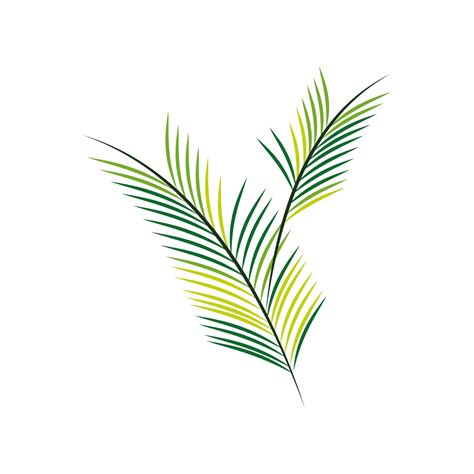 palm branch foliage 3729245 Vector Art at Vecteezy