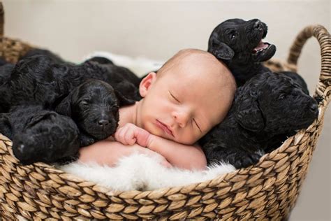 Newborn Baby and Puppies Photo Shoot | POPSUGAR Australia Parenting