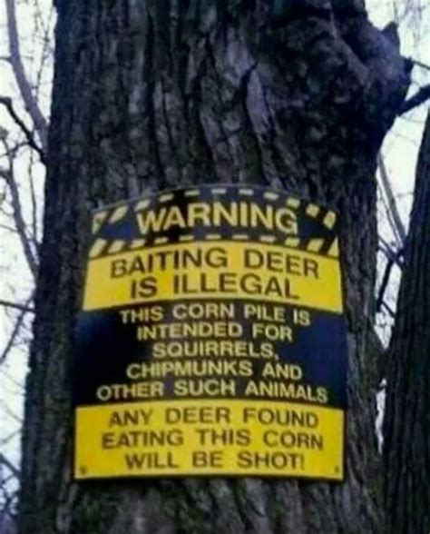 Funny hunting sign | Hunting humor, Funny deer, Deer bait