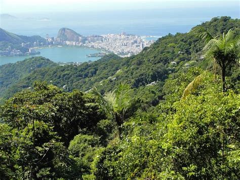 Tijuca National Park (Parque Nacional da Tijuca), Rio de Janeiro ...