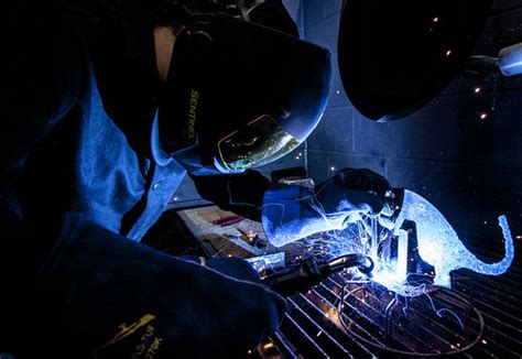 College of DuPage Welding Students Create Dinosaurs During… | Flickr