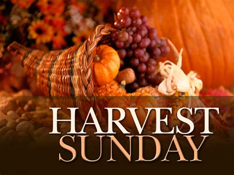 Looking At Life Through My Bifocals - Sharing my life one day at a time: HARVEST DAY 2016