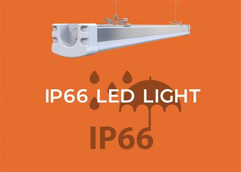 Here's What 2023 Industry Insiders Say About IP66 LED Lights