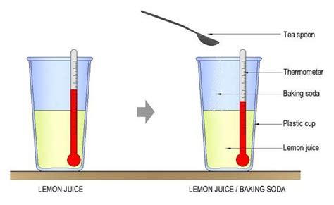 Chemistry science project - Endothermic reactions | Science chemistry, Teaching chemistry ...