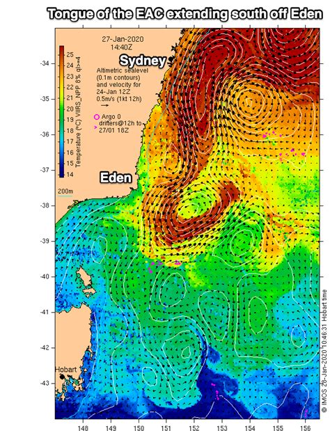 Analysis: Intrusion of the East Australian Current | Swellnet Analysis | Swellnet