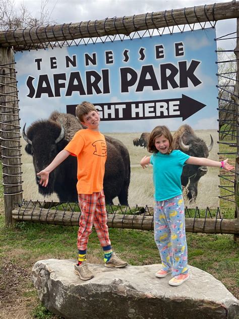 Tennessee Safari Park | The Nashville Mom