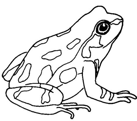 Google Image Result for http://www.arthursclipart.org/frogs/frogs/frog%25206.gif | Frog coloring ...