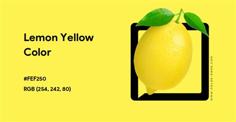 Lemon Yellow color hex code is #FEF250 | Yellow complementary color ...