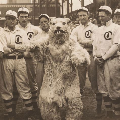 The Story Behind the Chicago Cubs' Nightmare-Inducing Bear Mascot of ...