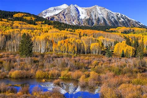 The 6 Best Spots For Fall Foliage In Colorado | HuffPost