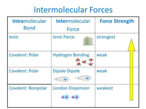 Here is a list of the types of bonds and interactions discussed in this section. Place them in ...