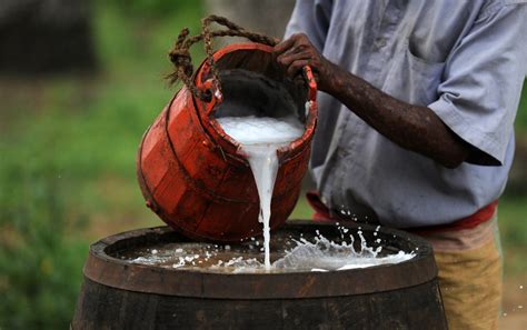 The Culture of Palm Wine in Nigeria | Health | Naijabiography